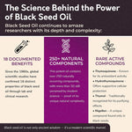 BioNatal Premium Black Seed Oil + DHA Softgels – 5% Thymoquinone (TQ) – Algal Oil Omega-3 & Organic Flaxseed Oil – 2000mg Total Complex – Supports Immunity, Brain, and Joint Health – 60 Softgels
