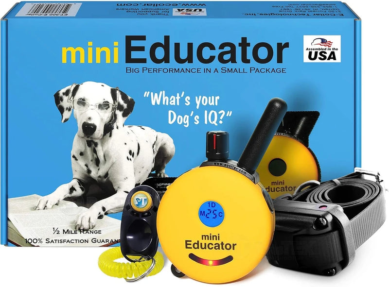 Educator ET-300 Mini E Collar