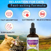 Liquid Cat Melatonin for Sleep Aid