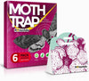 Clothes Moth Trap