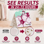 Clothes Moth Trap