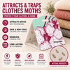 Clothes Moth Trap