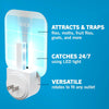 Safer Home Flying Insect Trap, Plug-In Fruit Fly Trap for Indoors, 1-Pack