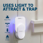 Safer Home Flying Insect Trap, Plug-In Fruit Fly Trap for Indoors, 1-Pack