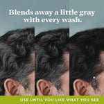 Just for Men Control GX Gray Reducing Shampoo, Keratin, 4 Fl Oz (1 Pack)