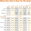Amazon Basics Leak-Proof Dog and Puppy Potty Training Pee Pads with Quick-Dry 5-Layer Super Absorbent Design, Regular Size 22 x 22 inch, Blue &amp; White, 100 Count