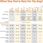 Amazon Basics Leak-Proof Dog and Puppy Potty Training Pee Pads with Quick-Dry 5-Layer Super Absorbent Design, Regular Size 22 x 22 inch, Blue &amp; White, 100 Count