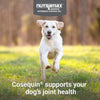 Nutramax Cosequin Dog Joint Supplement, Skin &amp; Coat, Soft Chews, 60ct
