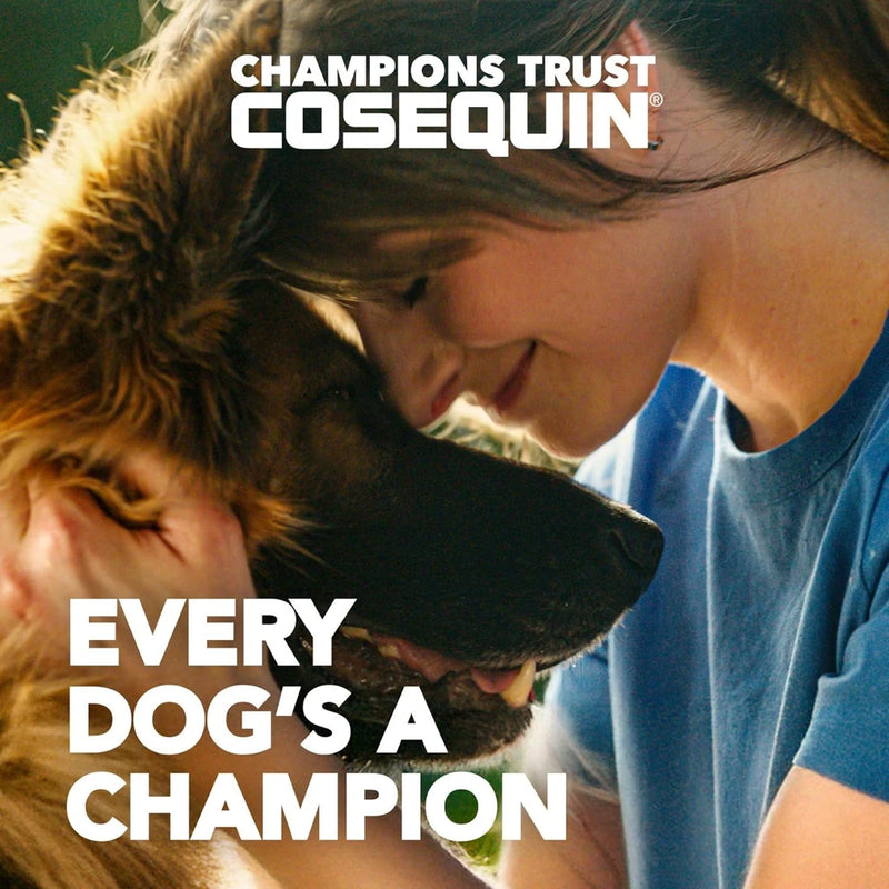 Nutramax Cosequin Dog Joint Supplement, Skin &amp; Coat, Soft Chews, 60ct