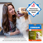 Nutramax Cosequin Dog Joint Supplement, Skin &amp; Coat, Soft Chews, 60ct