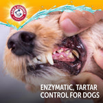 Arm &amp; Hammer Complete Care Puppy Dental Kit, Peanut Butter Flavor, 2.5 Oz