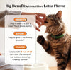 Pet Honesty Vet Backed Senior Cat Joint Supplement, Chicken, 900ct Chews