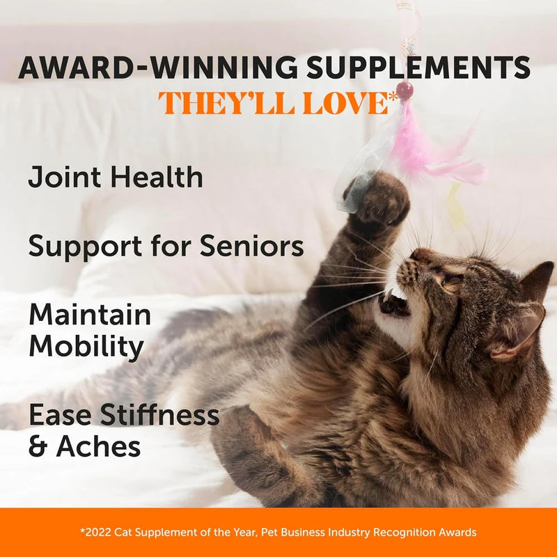 Pet Honesty Vet Backed Senior Cat Joint Supplement, Chicken, 900ct Chews