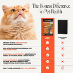 Pet Honesty Vet Backed Cat Joint Supplement Lickable Puree, Salmon, 20 Ct