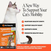 Pet Honesty Vet Backed Cat Joint Supplement Lickable Puree, Salmon, 20 Ct