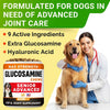 Senior Advanced Glucosamine for Dogs, Chondroitin Hip Joint Supplement Chew
