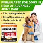 Senior Advanced Glucosamine for Dogs, Chondroitin Hip Joint Supplement Chew