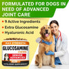 Senior Advanced Glucosamine for Dogs, Chondroitin Hip Joint Supplement Chew