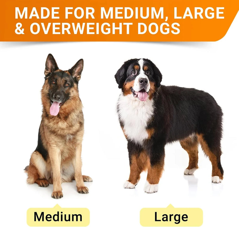Senior Advanced Glucosamine for Dogs, Chondroitin Hip Joint Supplement Chew