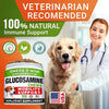 Advanced Glucosamine for Dogs, Chondroitin &amp; MSM Hip Joint Supplement Chews