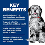 Hill's Science Diet Adult Perfect Weight &amp; Joint Support Dry Dog Food