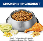 Hill's Science Diet Adult Perfect Weight &amp; Joint Support Dry Dog Food