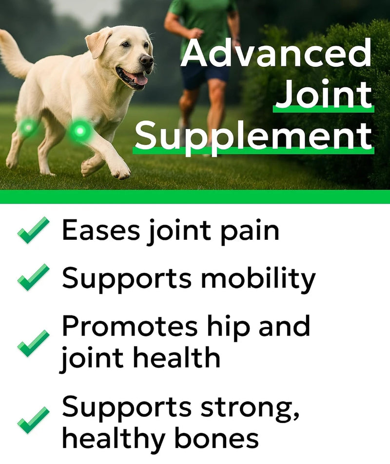 Advanced Glucosamine for Dogs, Chondroitin&amp;MSM Hip Joint Supplement Treats