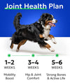 Advanced Glucosamine for Dogs, Chondroitin&amp;MSM Hip Joint Supplement Treats