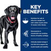 Hill's Science Diet Perfect Weight &amp; Joint Support Large Breed Dry Dog Food