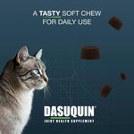 Nutramax Dasuquin Joint Health Supplement for Cats - With Glucosamine, Chondroitin, ASU, Boswellia Serrata Extract, Green Tea Extract, and Omega-3, 84 Soft Chews