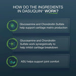 Nutramax Dasuquin Joint Health Supplement for Cats - With Glucosamine, Chondroitin, ASU, Boswellia Serrata Extract, Green Tea Extract, and Omega-3, 84 Soft Chews