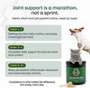 Green Lipped Mussel Dog Joint Powder