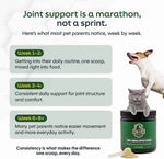 Green Lipped Mussel Dog Joint Powder