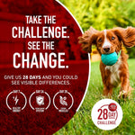 Chicken Joint Health Dog Food for Senior Mobility