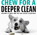 Dinovite Daily Dental Chews for Tiny Dogs, Freshens Breath, Mint, 60 Count