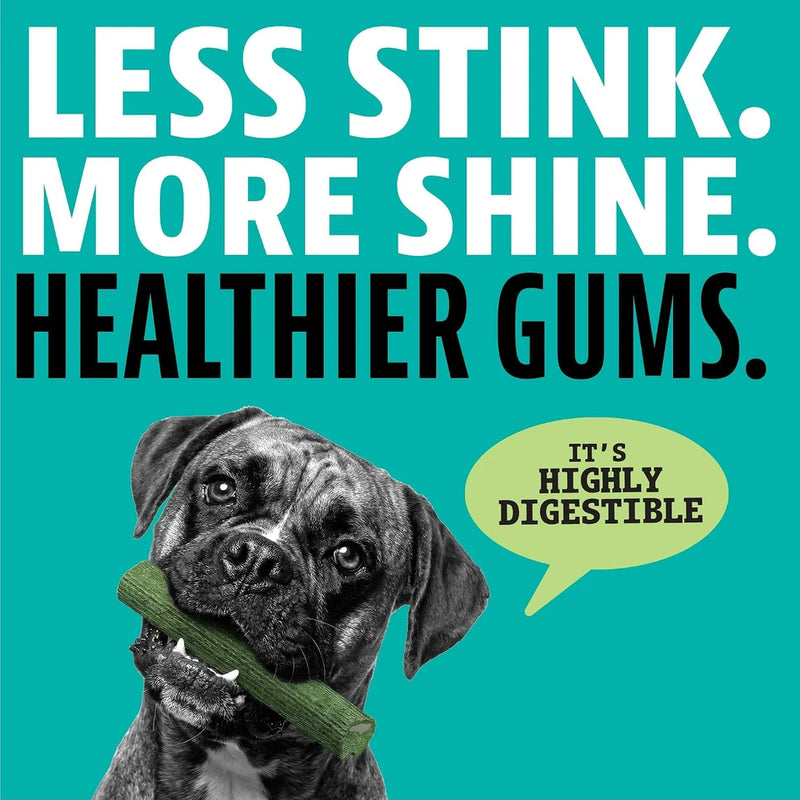 Dinovite Daily Dental Chews for Tiny Dogs, Freshens Breath, Mint, 60 Count