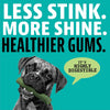 Dinovite Daily Dental Chews for Medium Dogs