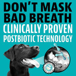 Dinovite Daily Dental Chews for Medium Dogs