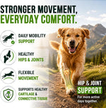 Glucosamine Hip &amp; Joint Supplement for Dogs - 250 Chews with Chondroitin