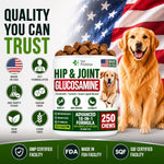 Glucosamine Hip &amp; Joint Supplement for Dogs - 250 Chews with Chondroitin