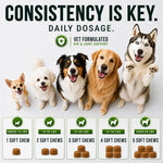 Glucosamine Hip &amp; Joint Supplement for Dogs - 250 Chews with Chondroitin