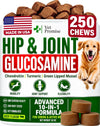Glucosamine Hip &amp; Joint Supplement for Dogs - 250 Chews with Chondroitin