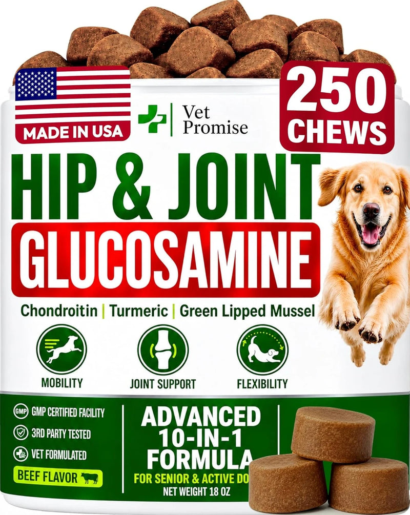 Glucosamine Hip &amp; Joint Supplement for Dogs - 250 Chews with Chondroitin