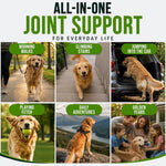 Glucosamine Hip &amp; Joint Supplement for Dogs - 250 Chews with Chondroitin