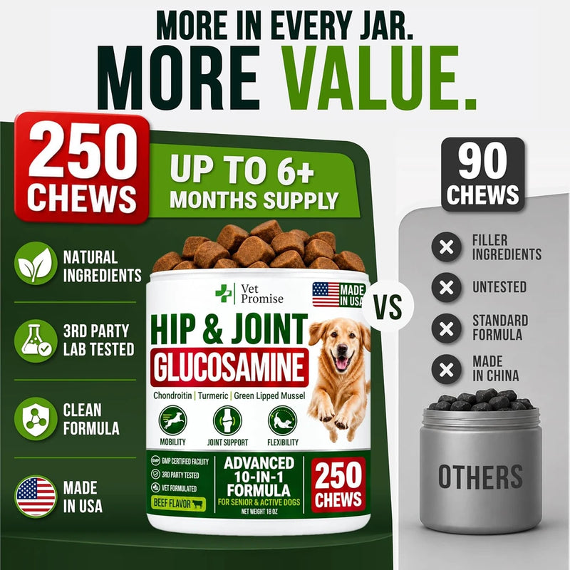 Glucosamine Hip &amp; Joint Supplement for Dogs - 250 Chews with Chondroitin
