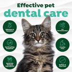 TropiClean Fresh Breath Drops for Cats, Cat Breath Freshener, 2.2oz