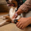 Fiskars Pet Large Nail Clippers, Cat and Dog Trimmers for Grooming, 5.75"