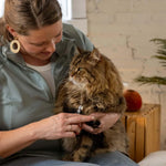 Fiskars Pet Small Nail Clippers, Cat and Dog Trimmers for Grooming, 4.25"
