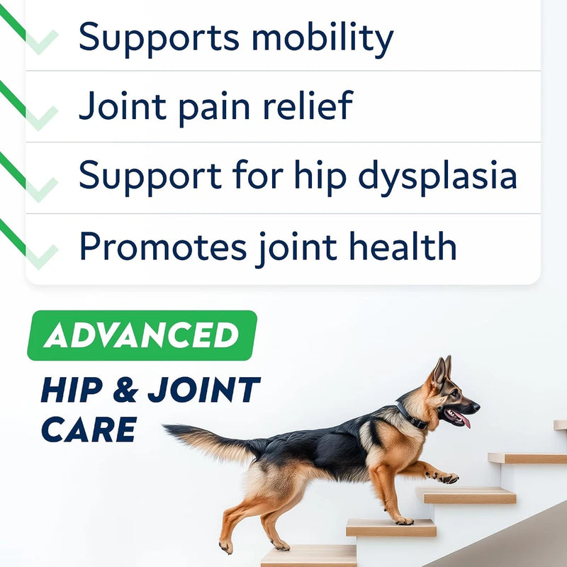 STRELLALAB Advanced Glucosamine for Dogs, Collagen&amp;Green Lipped Mussel