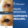 Dog Eye Drops | Dog Eye Infection Treatment | Flush Irritants &amp; Reduce Redness, Watering &amp; Discharge | Sterile Solution with Easy | Apply Dropper for Daily Use | 0.68 fl oz (20 mL)